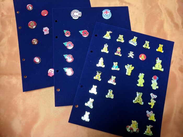 Best pin storage books/folders?  The DIS Disney Discussion Forums