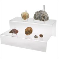 Seashell Display Steps-Clear Acrylic Glass Riser Wide Step Display