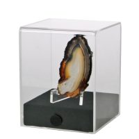 Gem & Mineral Display Cases