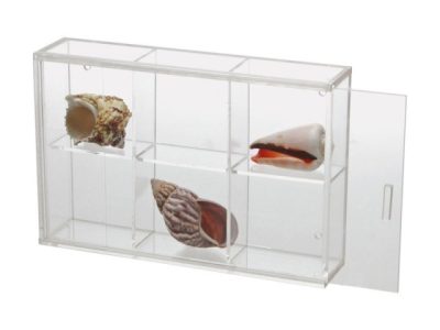 Seashell Display Case - Small 6 Compartments