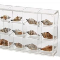 Seashell Display Case - Small 12 Compartments