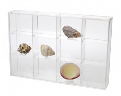 Seashell Display Case - Medium 12 Compartments