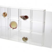 Seashell Display Case - Large 12 Compartments