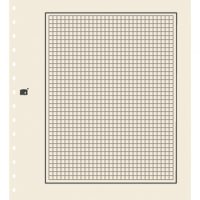 Cream Blank Page With Quadrille Graphing Per 10