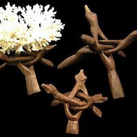 Shell Display Stands-Carved Wood Tripod Stand - Large