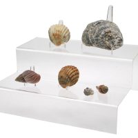 Mineral Display Stands & Easels